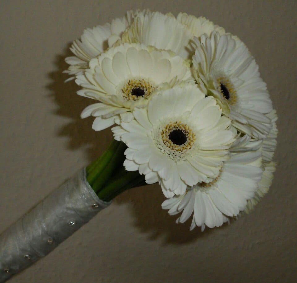 Coordinate a natural flower drawer 7 meters
Jori of White
Stomaria of White
Gerbera of White
Antrim of White
Green Asparagus
Green Leaf Laser