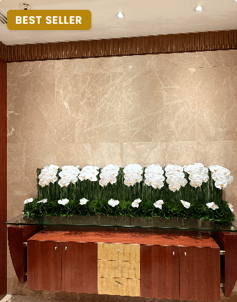 Welcoming a natural rose baby
1 solution length 1.5 cm
1 Mid Length 35 cm
2 cm side lengths
Natural white cat flour
Steel Grass Green
Chinese Green